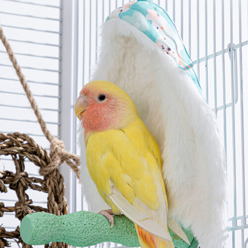 Bird Warm House Bird Windproof Nest Parrots Hideaway-blueCat 2