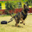 Dog Harness Sled Adjustable Heavy Duty Belt Comfortable for Dog 5