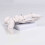 Human Foot Bone Model For Education Clinical Training And 4