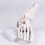 Human Foot Bone Model For Education Clinical Training And 6