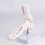 Human Foot Bone Model For Education Clinical Training And 7