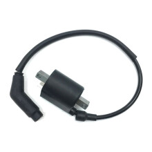 Nieuwe Bobine en Draad 22012 Past voor Linhai 260 300 400 500 520 550 EFI ATV Quad UTV
