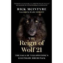 The Reign of Wolf 21