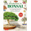 Introduction to Bonsai 1