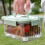 Contenitore trasparente da 1500 ml, a prova di perdite, professionale 12