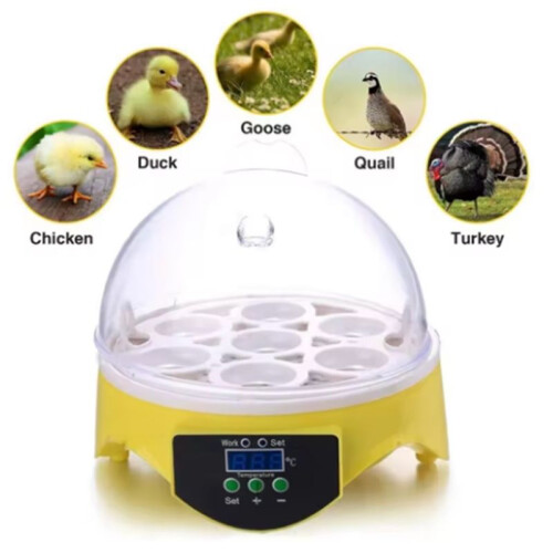 Egg Incubator Poultry Incubator Brooder Digital Temperature Hatchery Egg Hatcher Chicken Duck Bird  US Plug 1