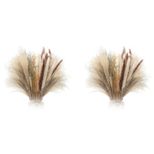 140 Pcs Natural Pampas Grass Decor, 17Inch Dried Pampas Grass Decor- 5 Color Pompous Pampas Grass Plants for Flower
