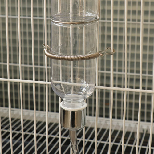 Support à ressort en acier inoxydable pour eau pour petits animaux 2