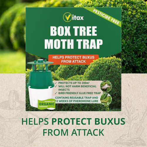 Vitax Box Tree Moth Trap - Pheromone Lure for Buxus Protection 12 Week Kit 1