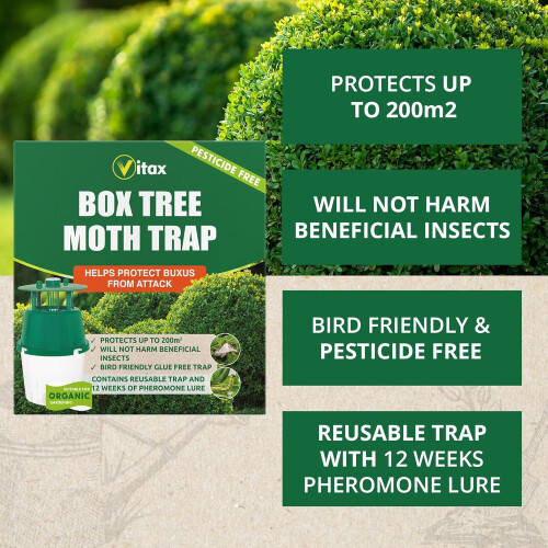 Vitax Box Tree Moth Trap - Pheromone Lure for Buxus Protection 12 Week Kit 2