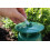 Vitax Box Tree Moth Trap - Pheromone Lure for Buxus Protection 12 Week Kit 5