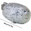 Μαξιλάρι Chubby Seal – Μαλακό βελούδινο παιχνίδι Blob, γκρι μαξιλάρι με ζωάκια του 3