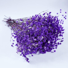 Preserved Baby's Breath 3 Bunches, Natural Gypsophila for Vase Arrangements, Home Decor, Weddings, Parties, DIY – Purple