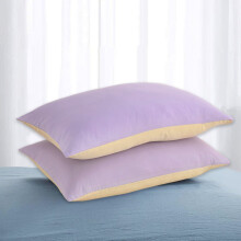 Lot de 2 taies d'oreiller de taille standard avec fermeture portefeuille, housses d'oreiller en coton doux et respirant pour chambre et salon