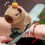 Capybara armbånd mandarin plysj tilbehør for barn 7