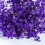 Διατηρημένο Baby's Breath3Bunches, Φυσική Γυψοφίλη για Συνθέσεις Βάζων, Διακόσμηση 2