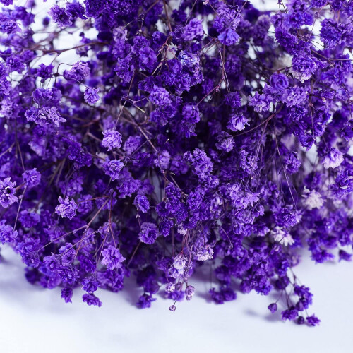 Διατηρημένο Baby's Breath3Bunches, Φυσική Γυψοφίλη για Συνθέσεις Βάζων, Διακόσμηση 1