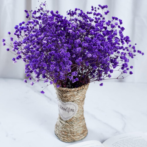 Διατηρημένο Baby's Breath3Bunches, Φυσική Γυψοφίλη για Συνθέσεις Βάζων, Διακόσμηση 2