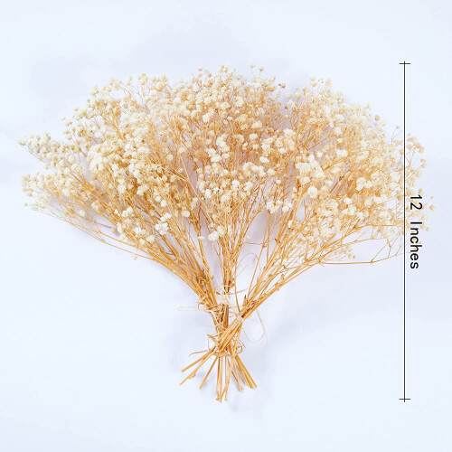 Preserved Baby's Breath3Bunches, Φυσική Γυψοφίλη για Συνθέσεις Βάζων, Διακόσμηση Σπιτιού, 2