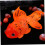Flytande orange silikonfiskakvariumdekoration 3