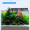 Filtre d'aquarium suspendu double progressif en plastique 5