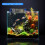 Filtre d'aquarium suspendu double progressif en plastique 9