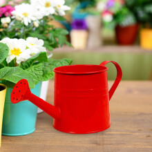 Mini Watering Can - Cute Metal Jug for Hand Crafts,Garden-Theme Parties, Pots, Home Decor,Housewarmings, Fun Birthday Gift for Girls and Boys