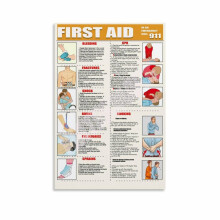 Affiche Guide de premiers secours, Affiche Premiers secours, Affiche Connaissances en premiers secours (6) Peinture sur toile, Décoration murale