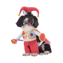 Søtt pizzabud-hundekostyme for små/mellomstore kjæledyr – Morsomt Halloween-antrekk med hatt og pizzaboks, komfortabelt og justerbart –