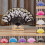 Wedding Fan Silk Lace Folding Handheld Flower Fan 1pc 2