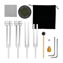 Stimmgabeln-Set für Heilung (128 Hz, 136 Hz, 256 Hz, 384 Hz) mit Aktivator für Heilung, Klangtherapie und Körpererhaltung, Silber