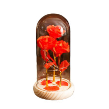Forever Flowers Konservierte Rosen in Glaskuppel mit Beleuchtung – Rosa, Geeignet als Geschenk für Mama, Oma, Ehefrau, Freundin – Weihnachten