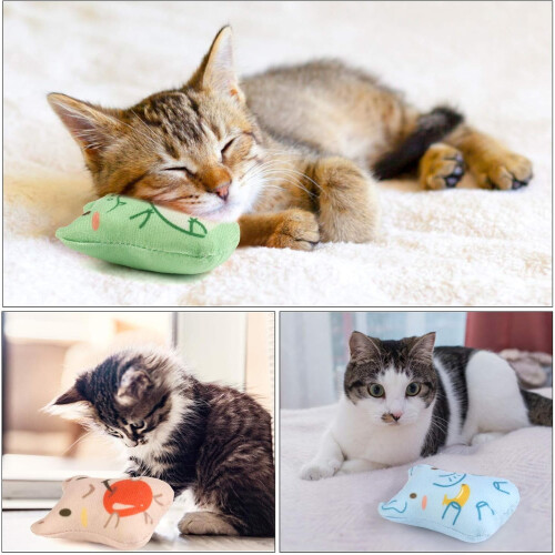 Σετ λούτρινων παιχνιδιών για γάτες Catnip – 5 τεμάχια παιχνίδια μάσησης σε σχήμα 1