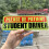 Warning Driver Magnet Please Be Patient Student Driver Magnet Driver Bumper Reusable Reflective Sticker 5