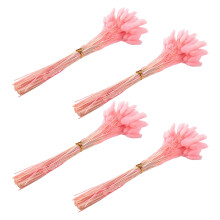 240Pcs Fleurs Séchées D'Automne Queues de Lapin Fleurs Séchées Lagurus Ovatus Herbe de Queue de Lapin pour Fleurs Séchées (Rose)