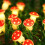 Lampki choinkowe 3D Mushroom String 5FT10LED na baterie 6