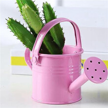 4x Metal Watering Can, Kids Watering Can, Children Iron Watering Tin Sprinkling Kettle for Garden Home Plants Flower