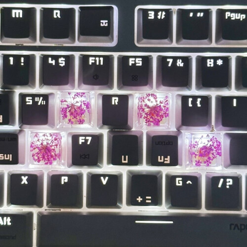 Translucent Leaf Dry Flower Resin ESC Keycap1pc 1