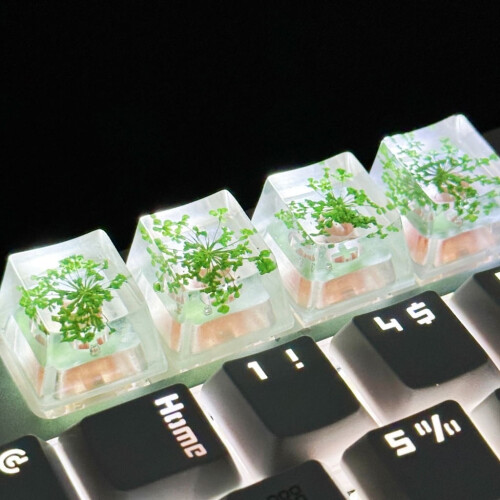 Translucent Leaf Dry Flower Resin ESC Keycap1pc 2