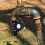 Power Generator Micro Hydro Turbine for Versatile Electrical Device Operation 7