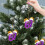 Décoration de Noël Funny67 à suspendre 5