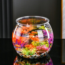 Fish Tank For Goldfish Transparent PET Space Saving For Desktop Display 1 Set