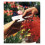 Agrafeuse K1Plier classique, (90119) 4