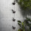 1 τεμάχιο Vintage Bird Rain Chain Αποχέτευσης Υδρορροές Διακοσμημένη Αλυσίδα Βροχής Κήπος 2