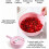 Bowl Type Manual Slicer Vegetable Cutter Multi-Functional Round Manually Cutter 8