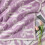 Purple Bow Microfiber Throw Blanket 50x60 inches 3