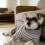Pull tricoté pour chats et chiens – Rayures grises, 2
