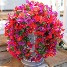 Keinotekoiset Bougainvillea-roikkuvat kukat, 2 kpl UV-kestäviä silkkiköynnöksiä ulkokoristeeseen – Yhteensopiva ruukkujen, kuistin, terassin