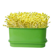Sprouting Tray Sprouter Kits Microgreens Growing Kits for Sprout Bean Alfalfa Wheat Grass Home Garden