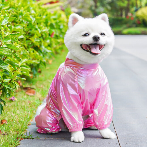 Elastiske, støvafvisende leggings til hunde og katte, 4 stk. 1